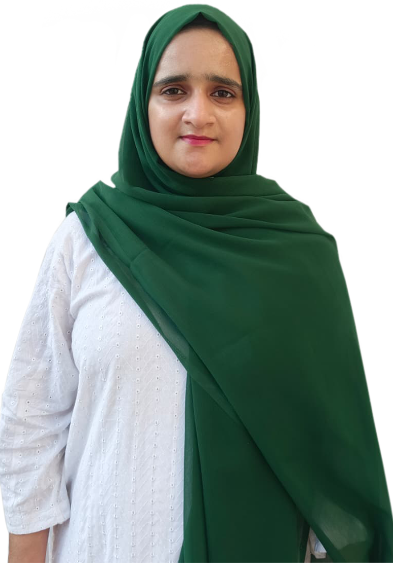 Hafsa Farooqi - Ui/Ux Designer